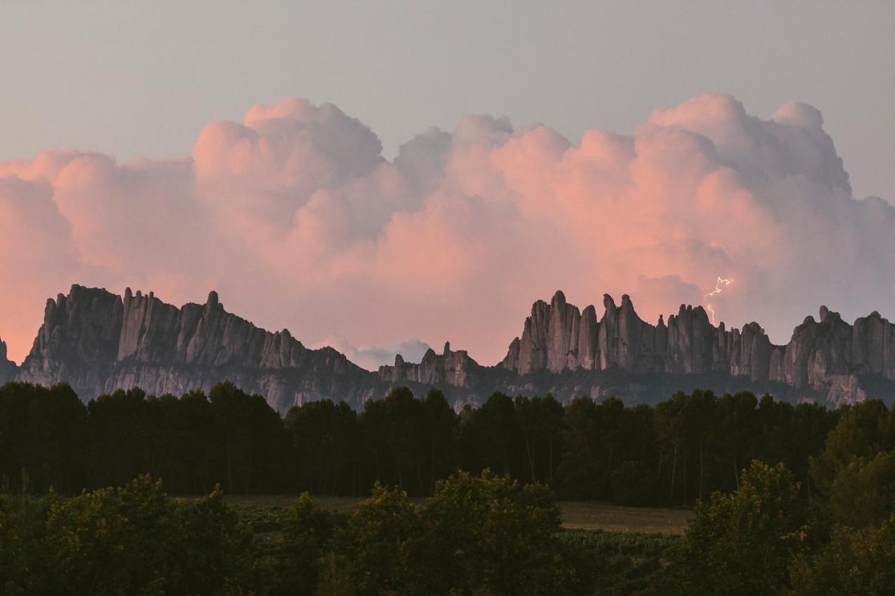 Les Cabanes De L'Oller Del Mas Манреса Экстерьер фото